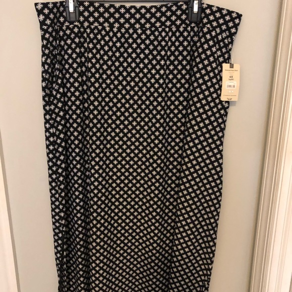 Terra & Sky Maxi Skirt - Picture 1 of 5